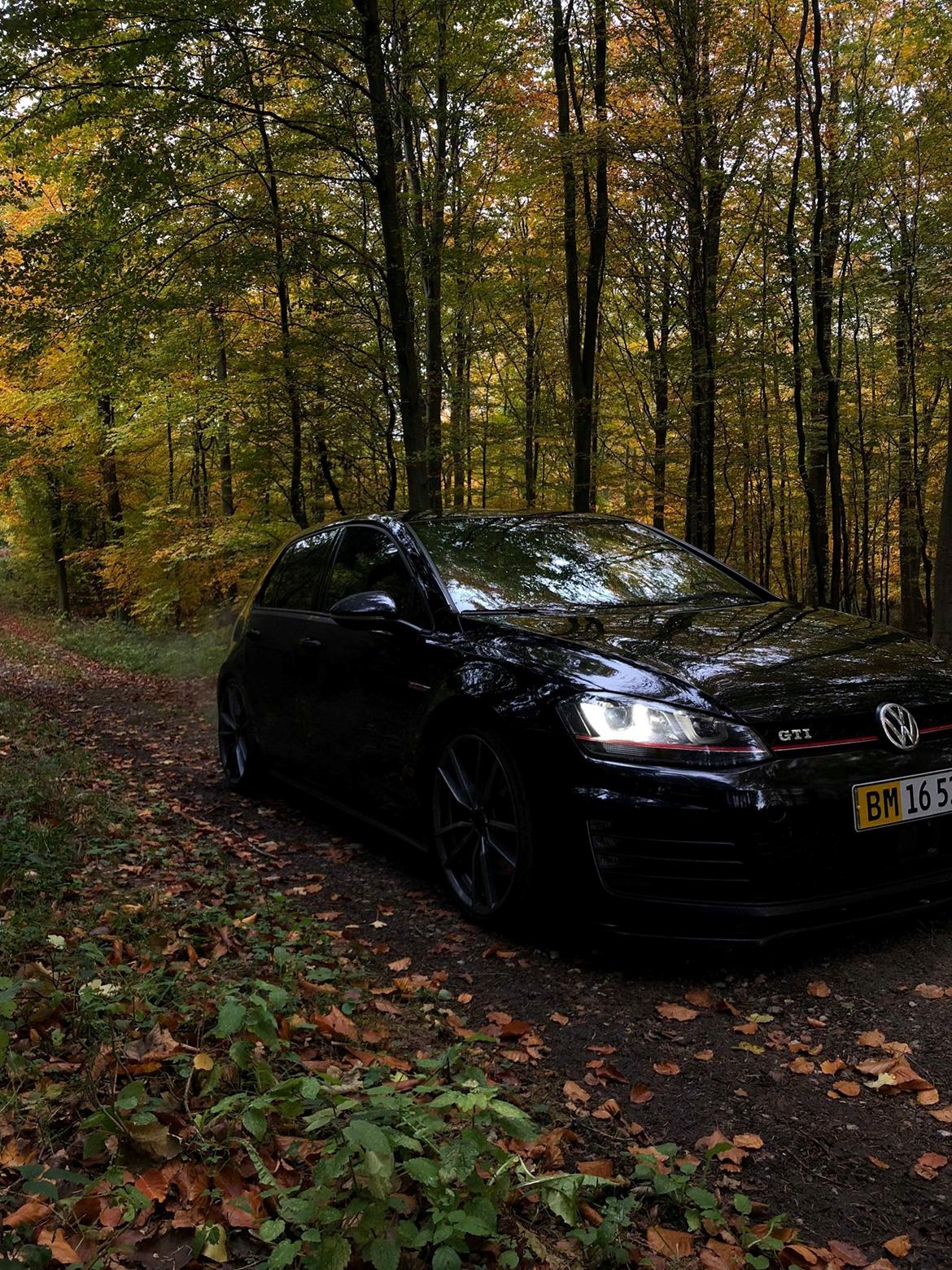 VW Golf 7 GTI performence billede 6