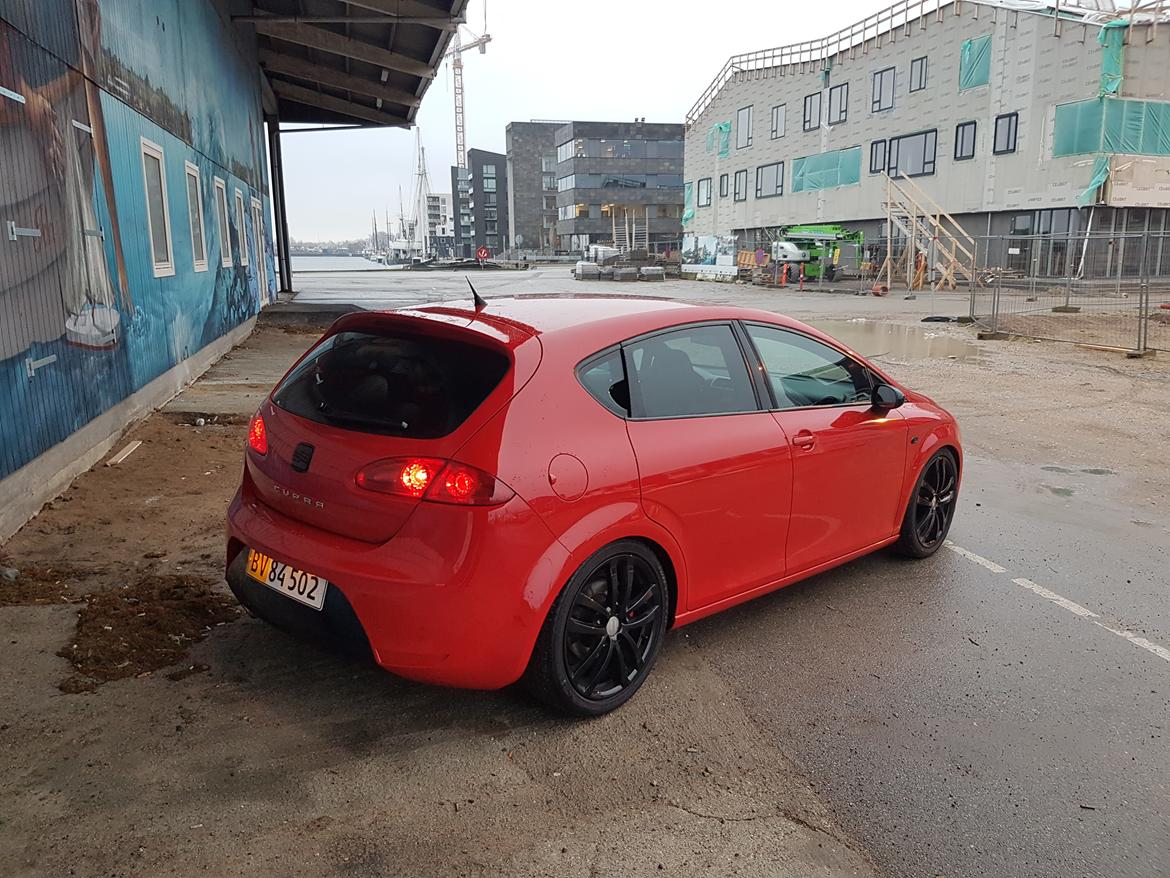 Seat Leon Cupra REVO billede 5