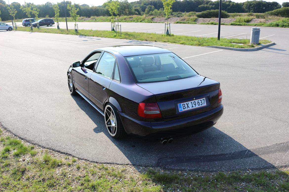 Audi A4 B5 billede 12