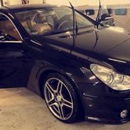 Mercedes Benz CLS (AMG)