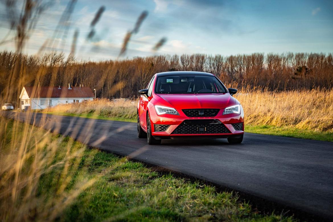 Seat Leon Cupra 5F billede 1