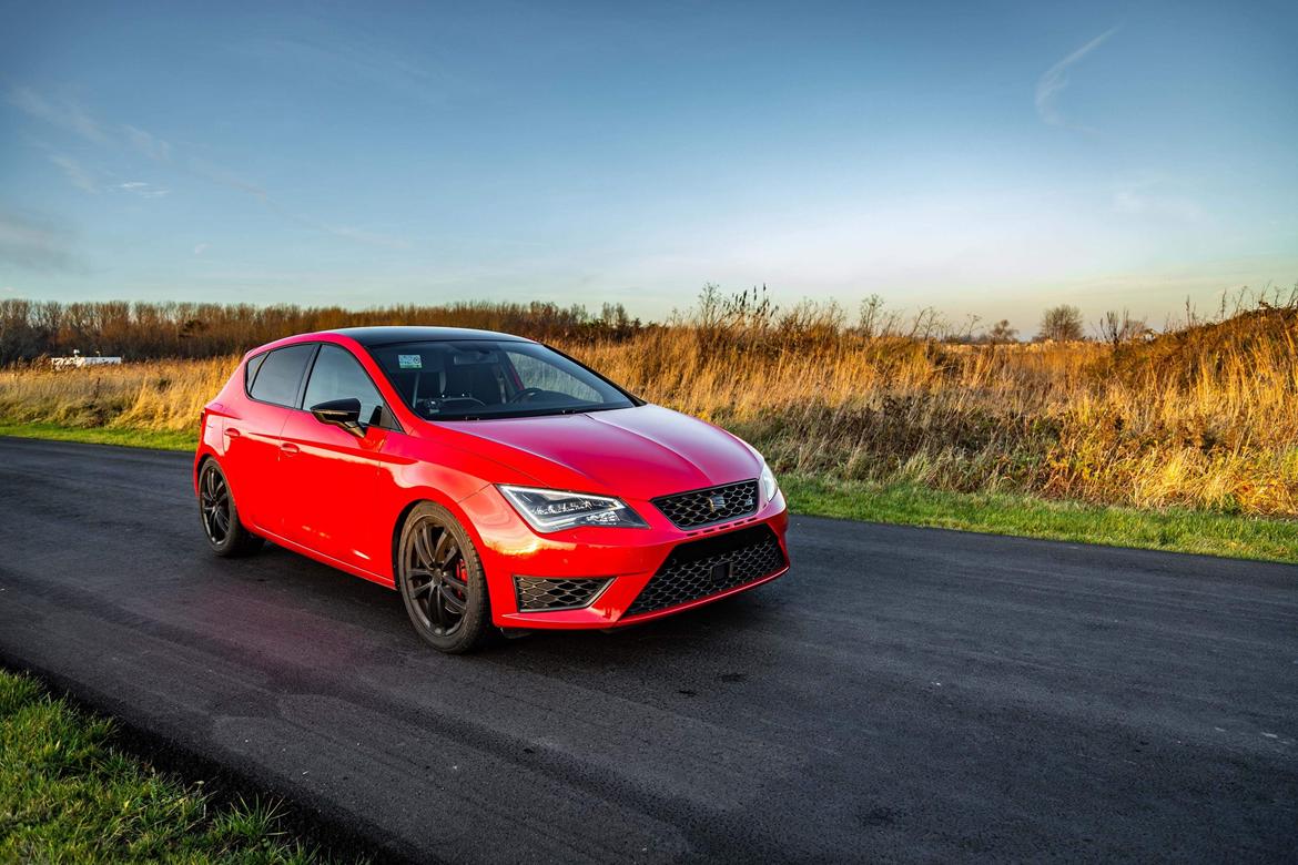 Seat Leon Cupra 5F billede 2