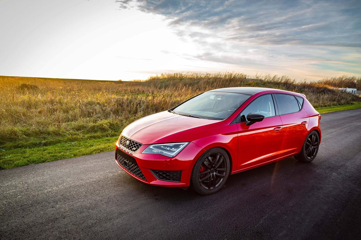 Seat Leon Cupra 5F billede 3