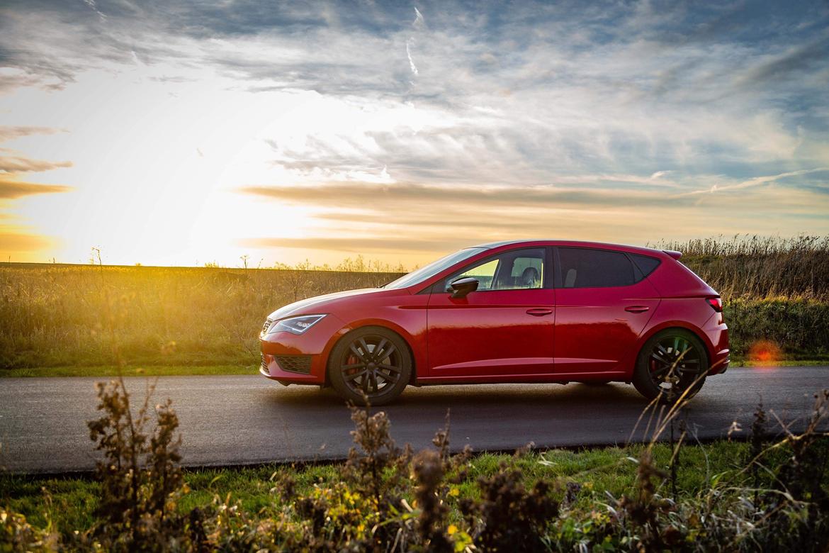 Seat Leon Cupra 5F billede 4