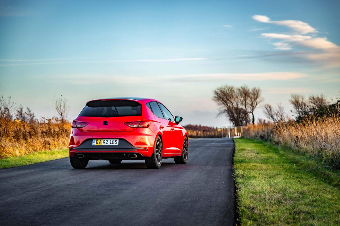 Seat Leon Cupra 5F billede 7