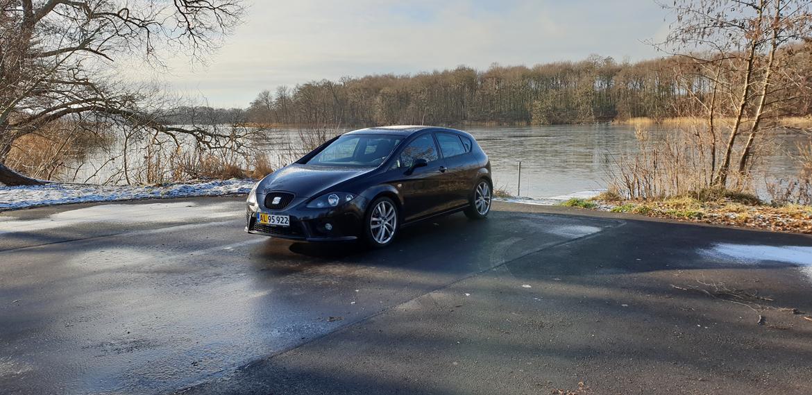 Seat Leon Cupra 2.0 TSFI billede 9