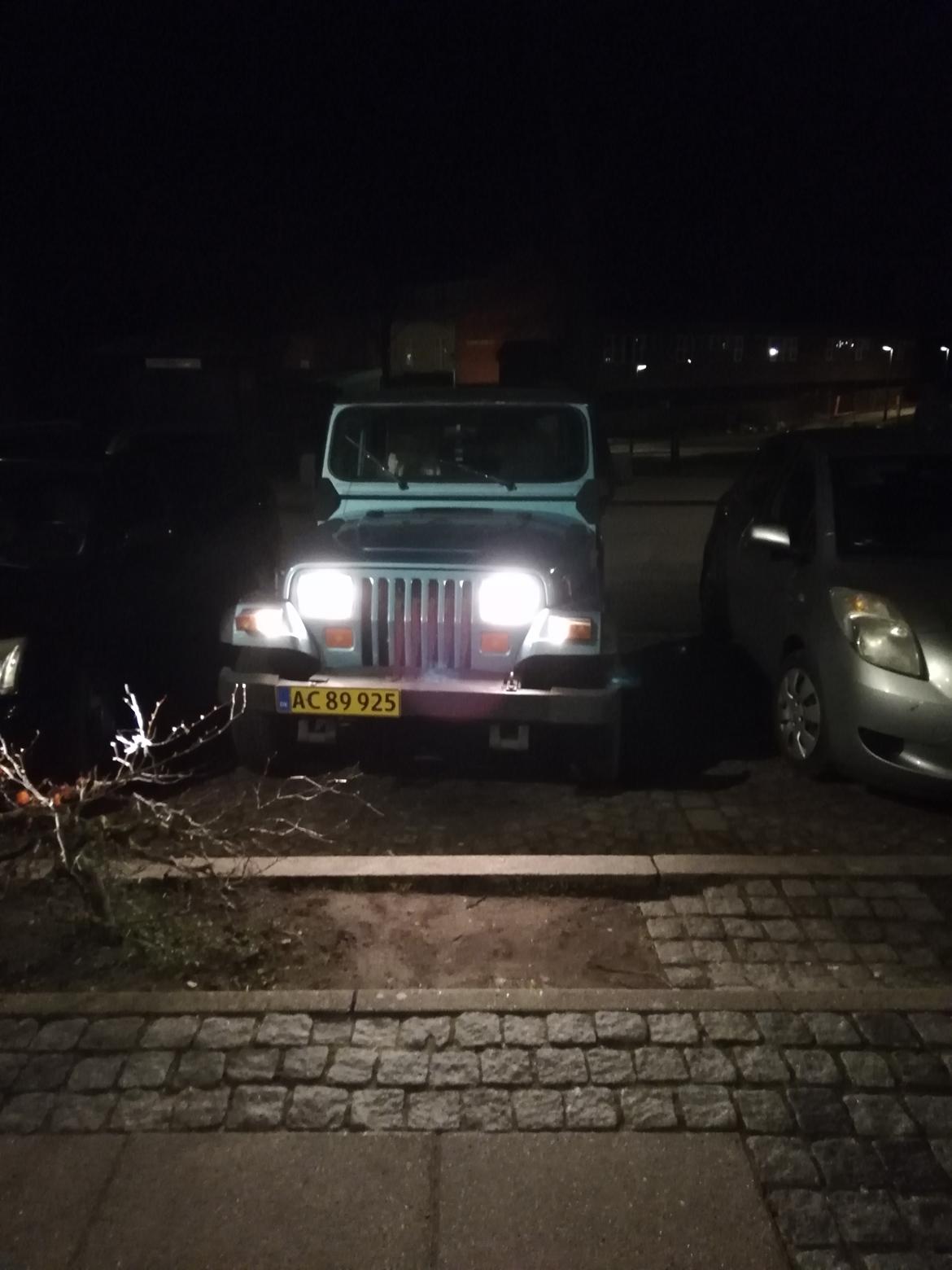 Jeep Wrangler yj  billede 8