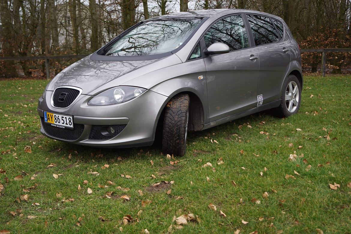 Seat Altea billede 1