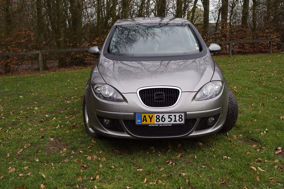 Seat Altea billede 2