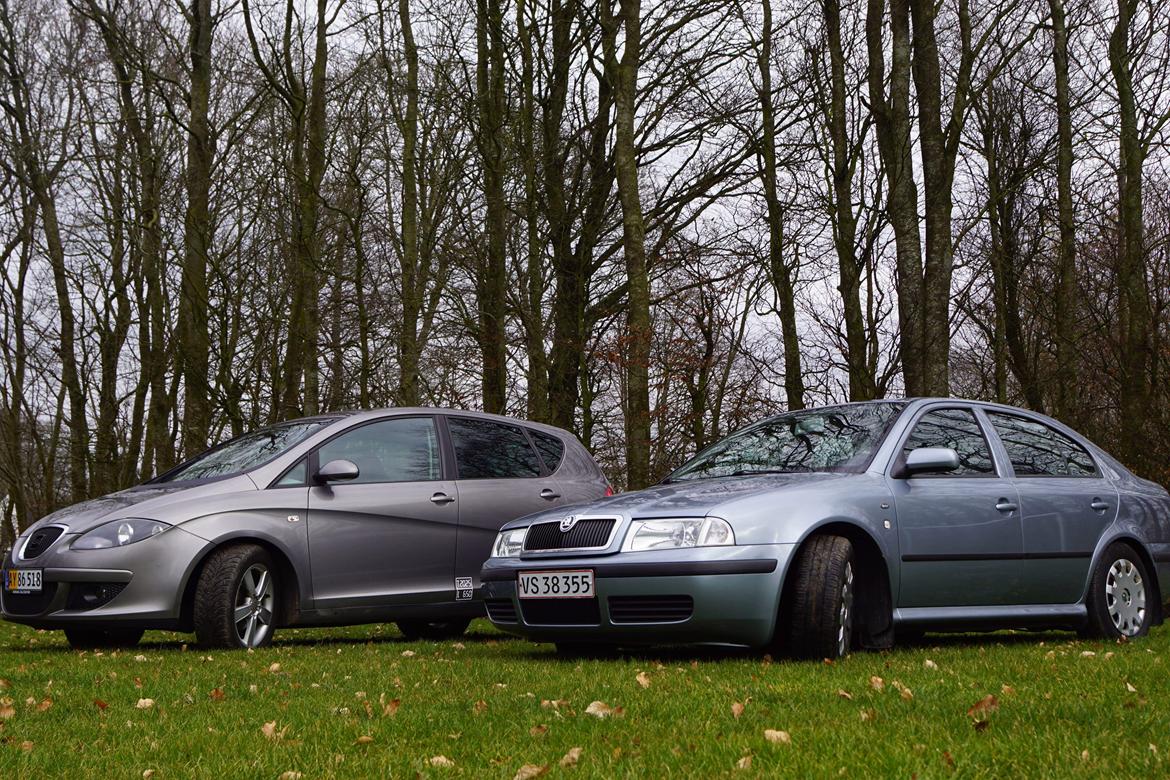 Seat Altea billede 4