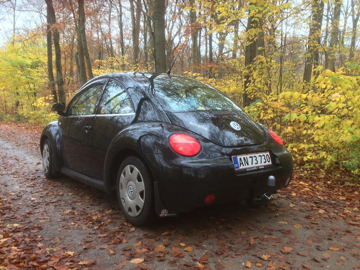 VW New beetle billede 9
