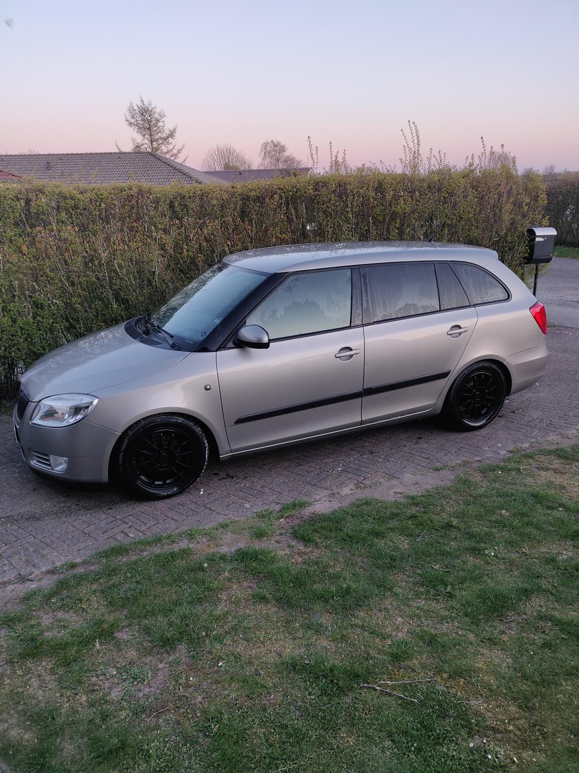 Skoda Fabia grenline billede 16