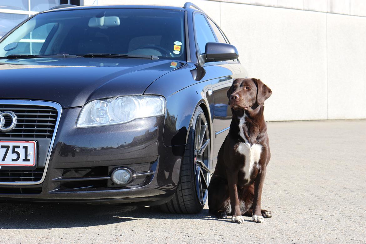 Audi A4 B7 Avant billede 24