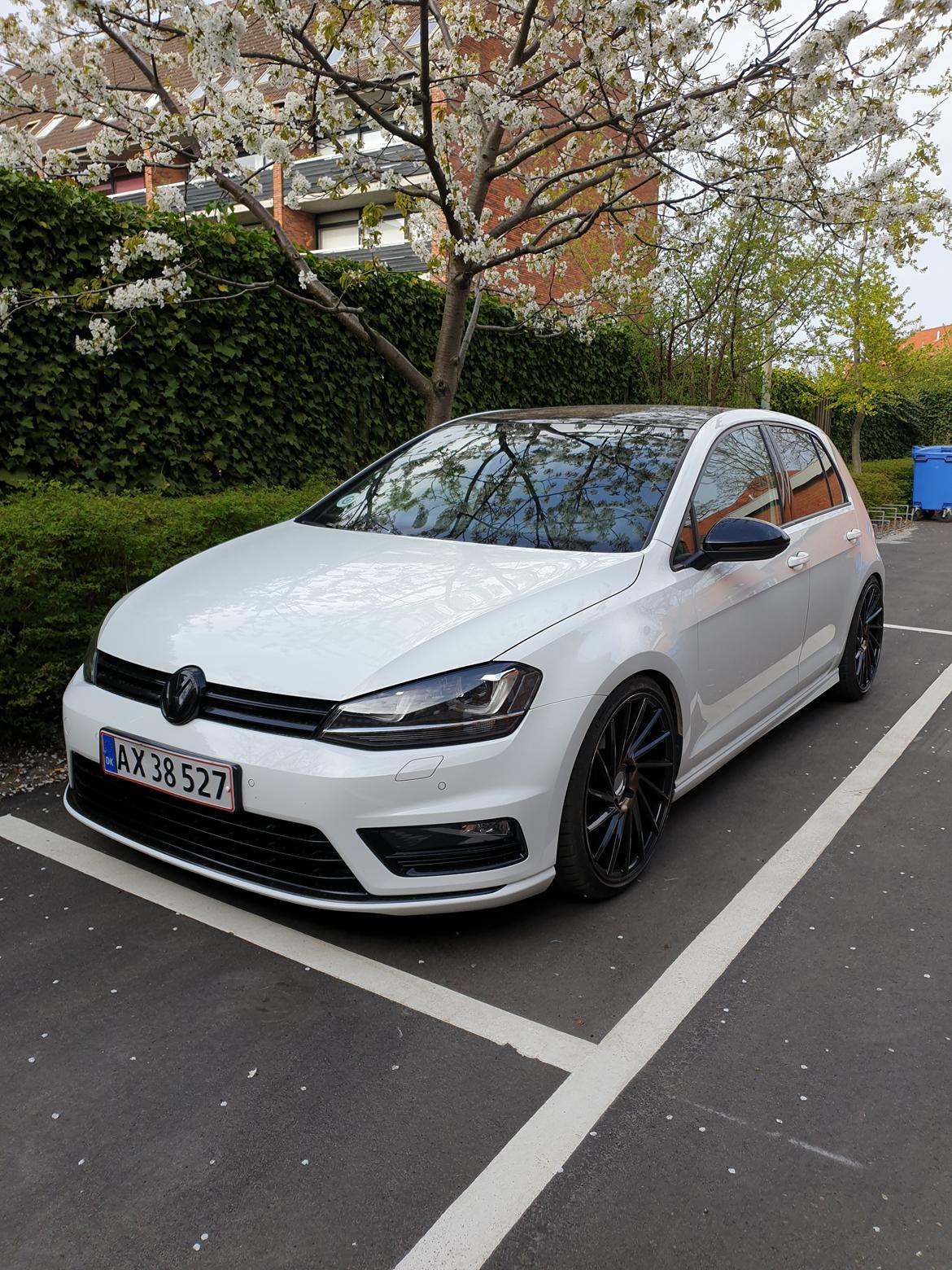 VW Golf VII R-Line billede 1
