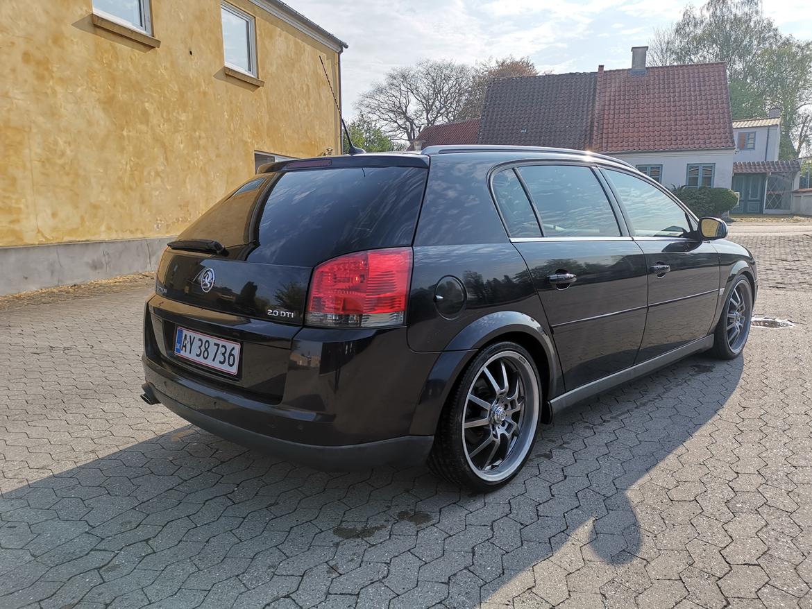 Opel Signum 1,9 cdti  billede 2