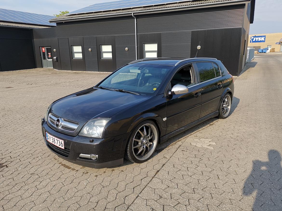 Opel Signum 1,9 cdti  billede 6