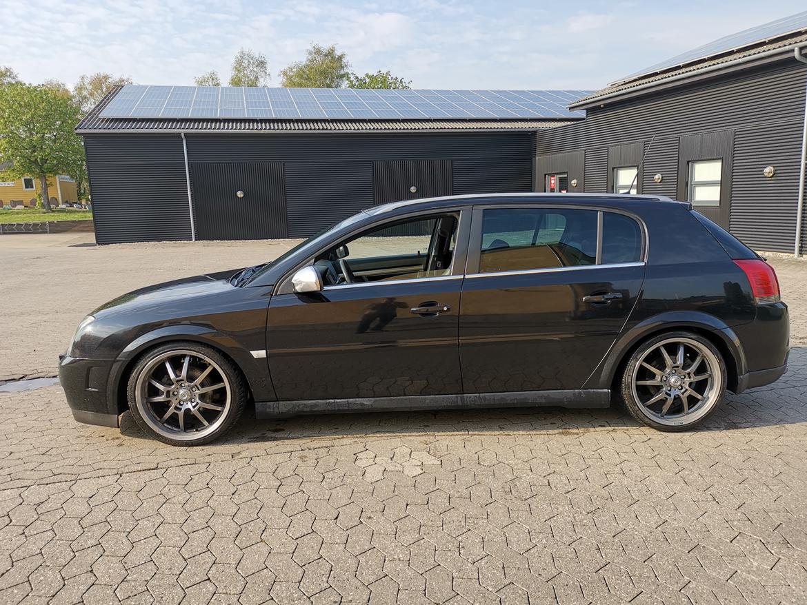 Opel Signum 1,9 cdti  billede 5