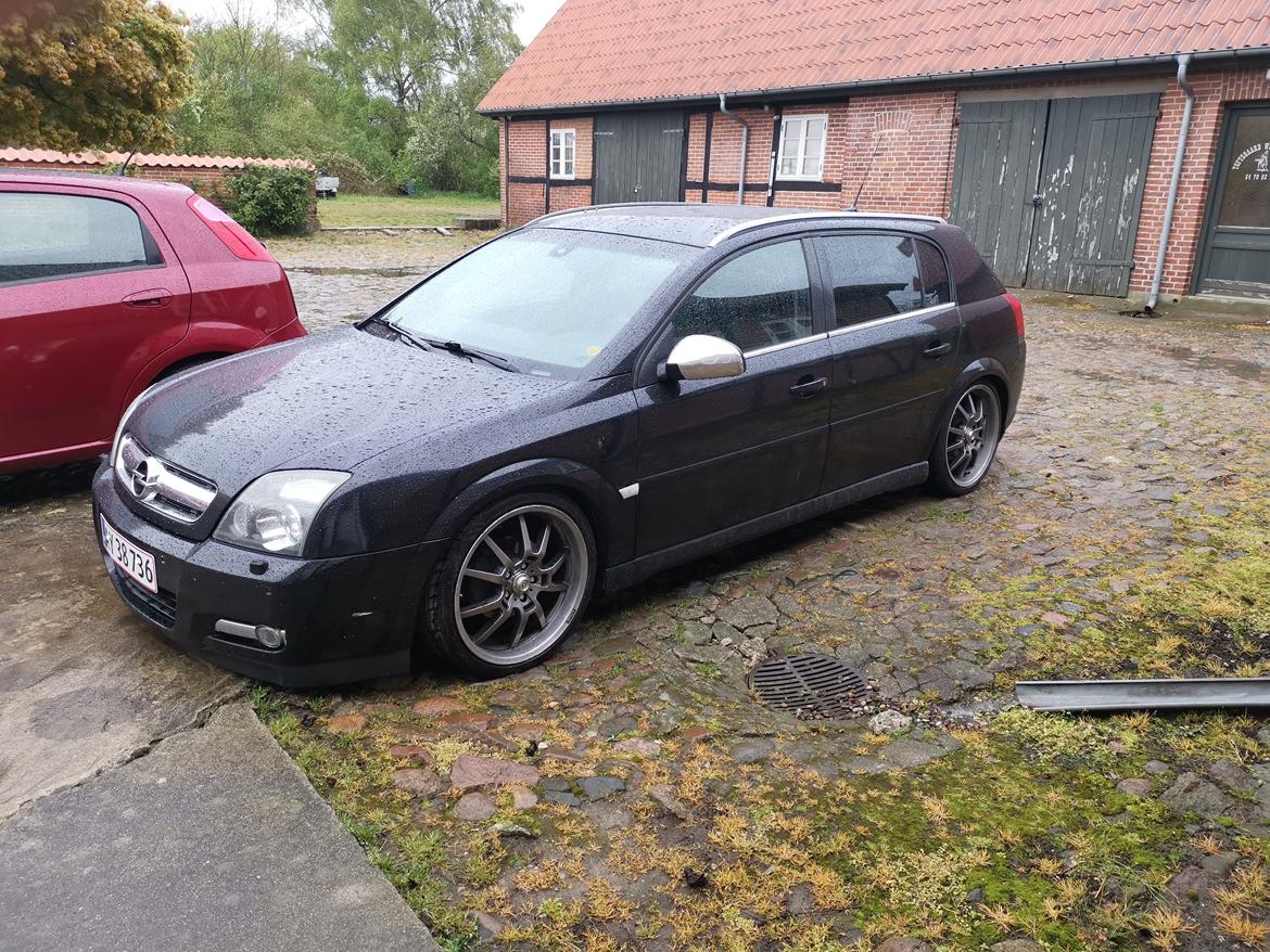 Opel Signum 1,9 cdti  billede 12