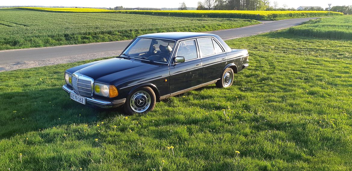 Mercedes Benz E250 w123 billede 3