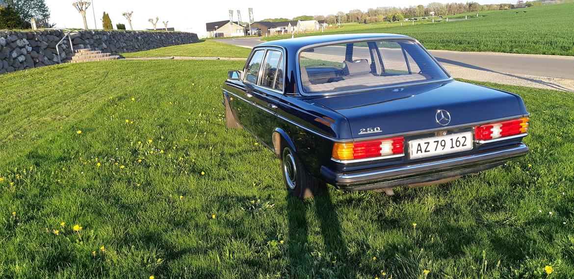 Mercedes Benz E250 w123 billede 6