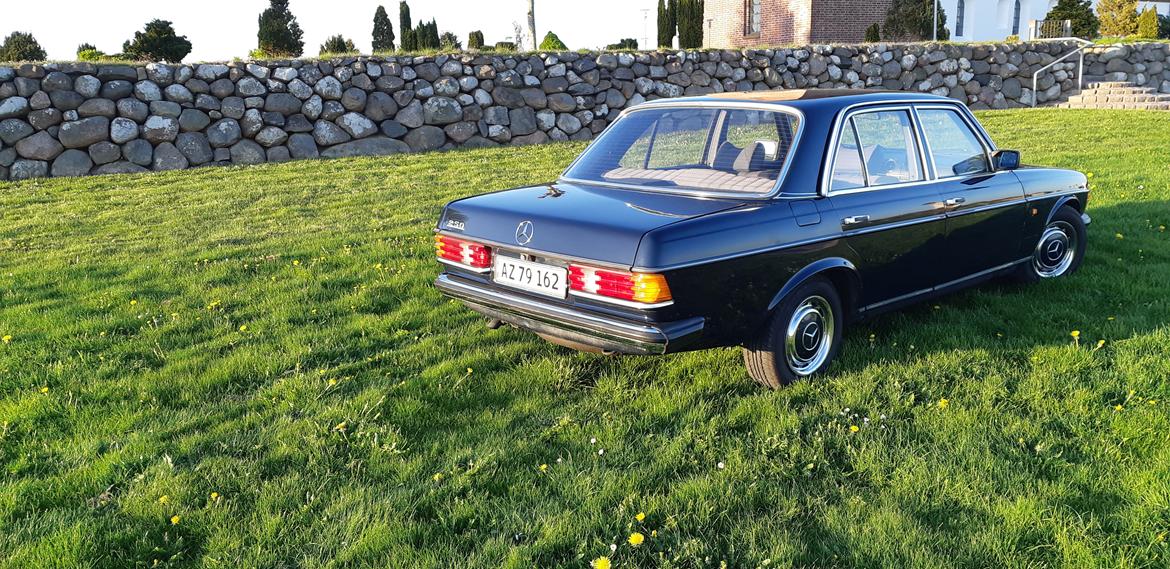 Mercedes Benz E250 w123 billede 5