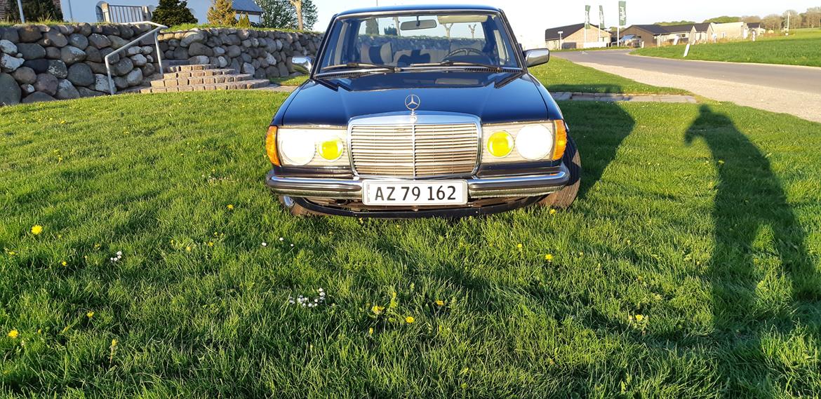 Mercedes Benz E250 w123 billede 8