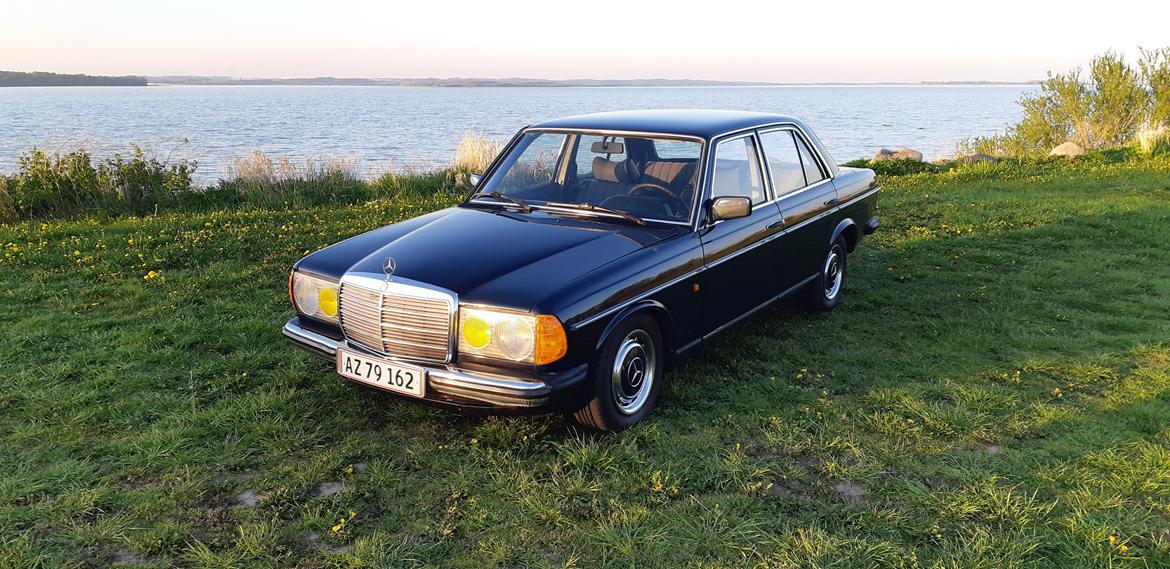 Mercedes Benz E250 w123 billede 10