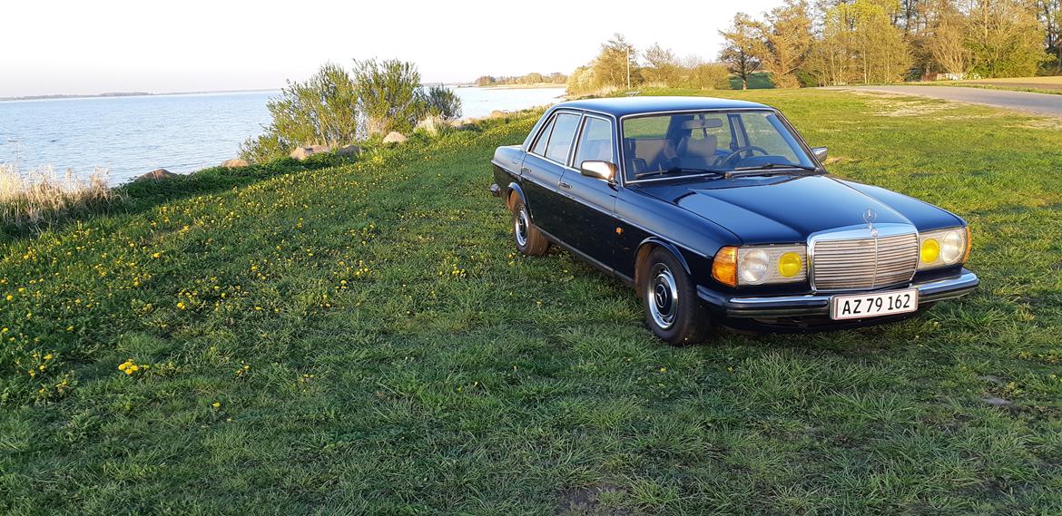 Mercedes Benz E250 w123 billede 12