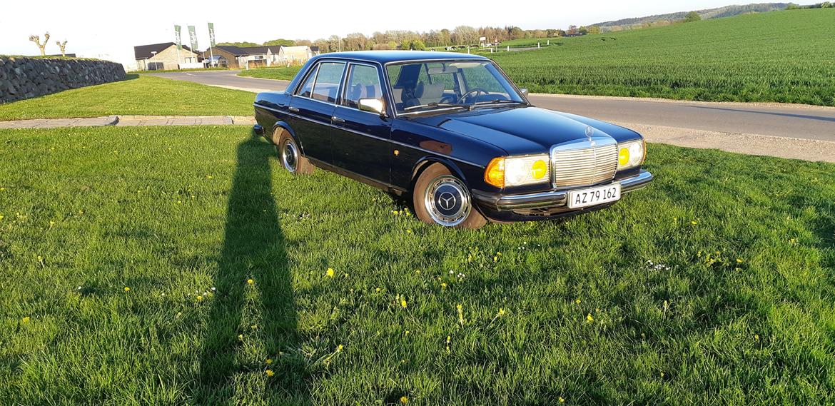 Mercedes Benz E250 w123 billede 9