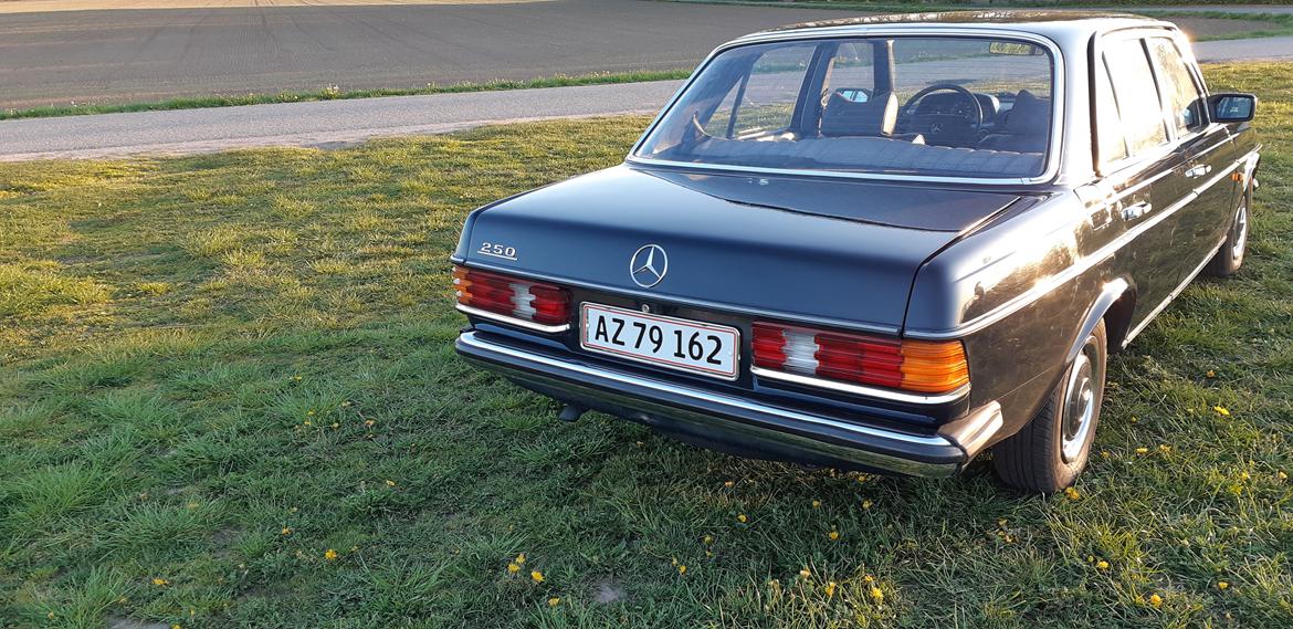 Mercedes Benz E250 w123 billede 14