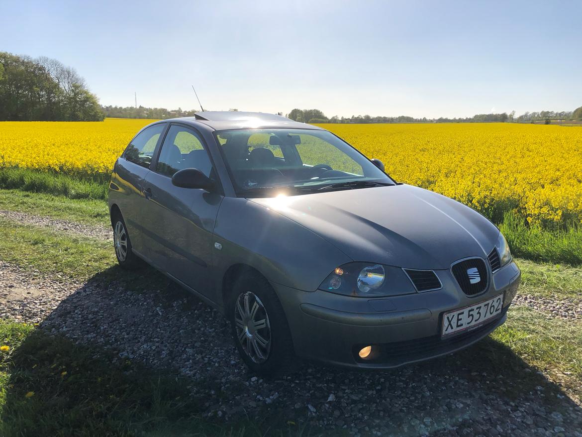 Seat Ibiza 6L billede 2