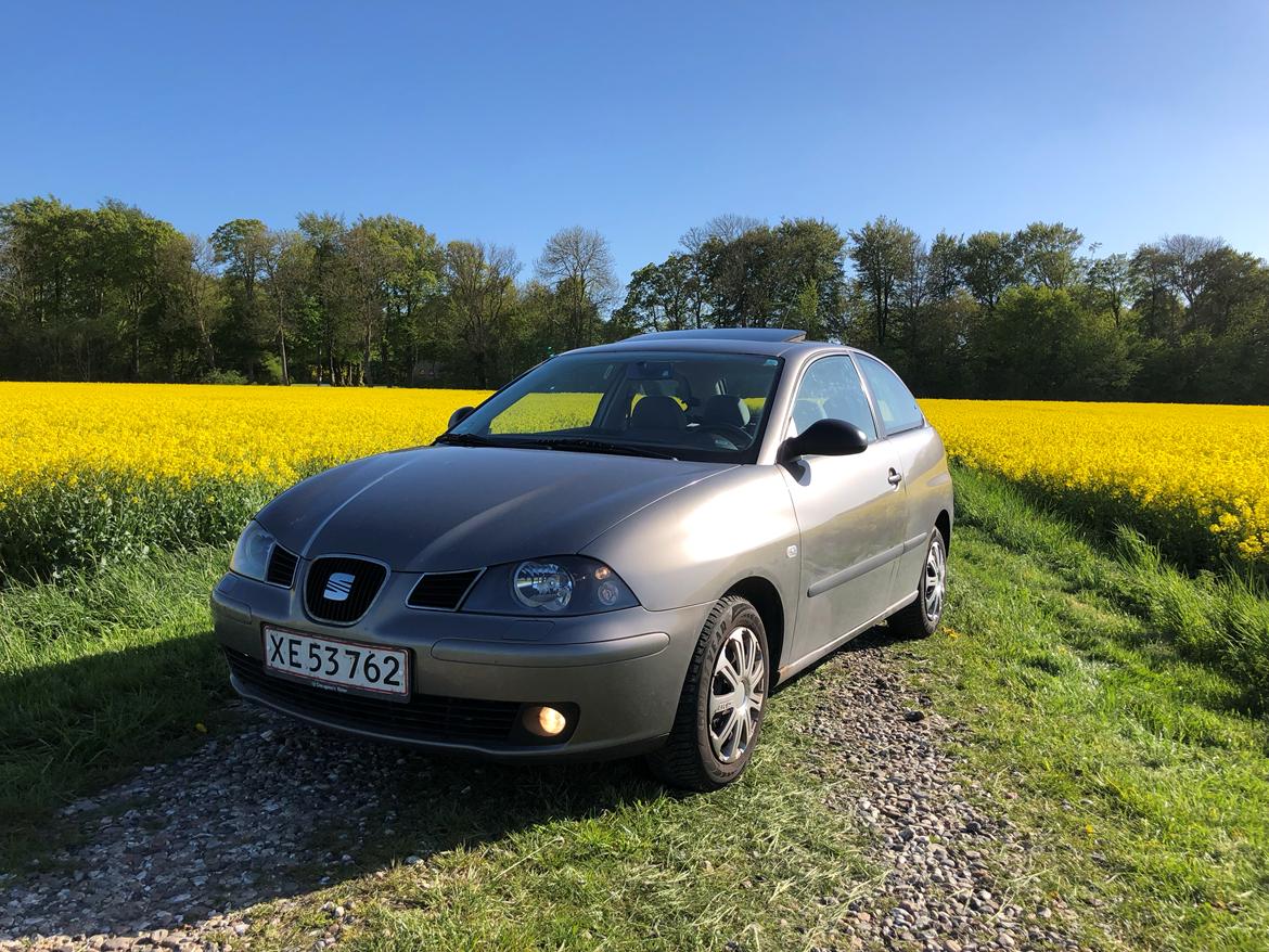 Seat Ibiza 6L billede 1