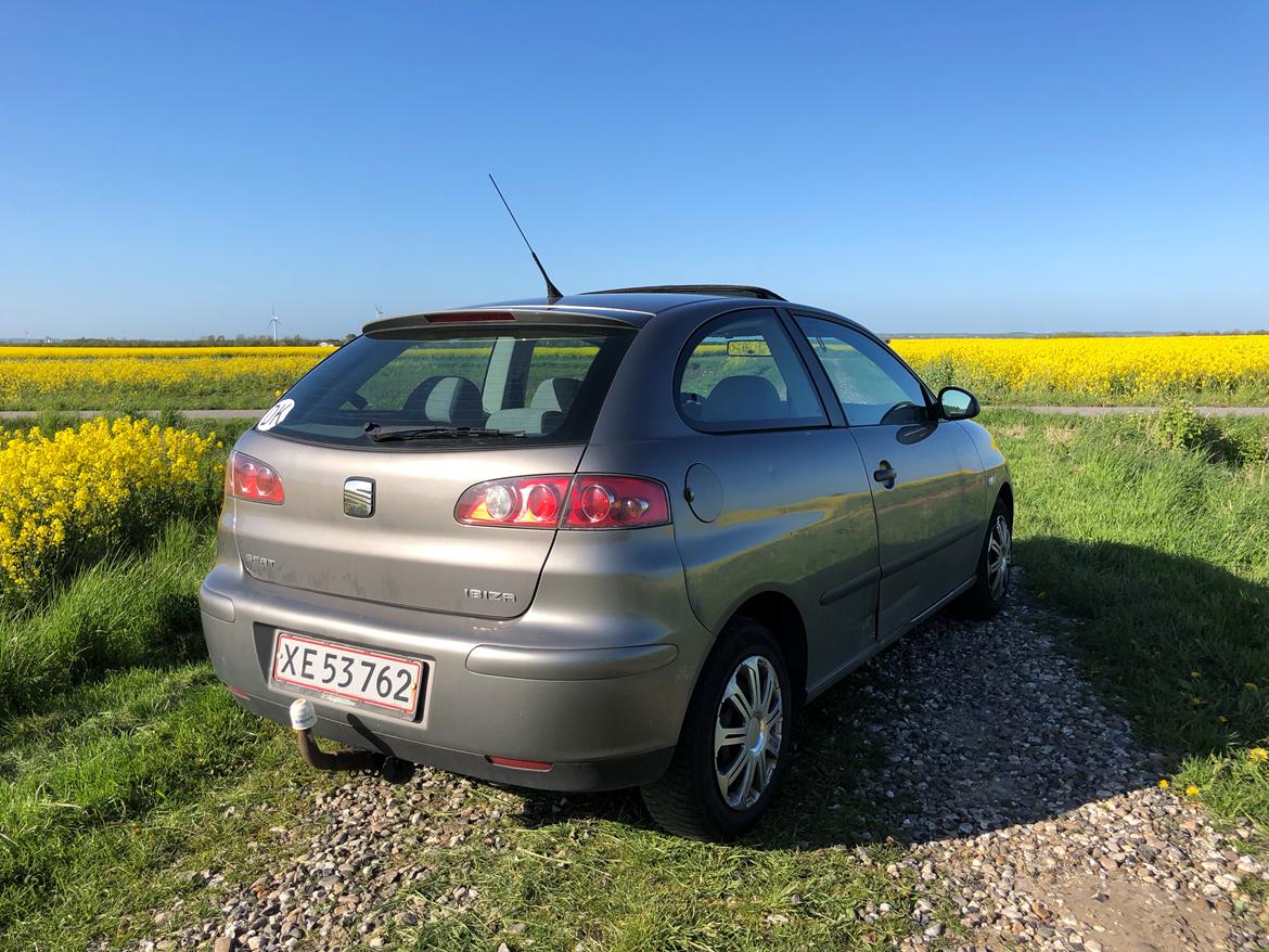 Seat Ibiza 6L billede 3