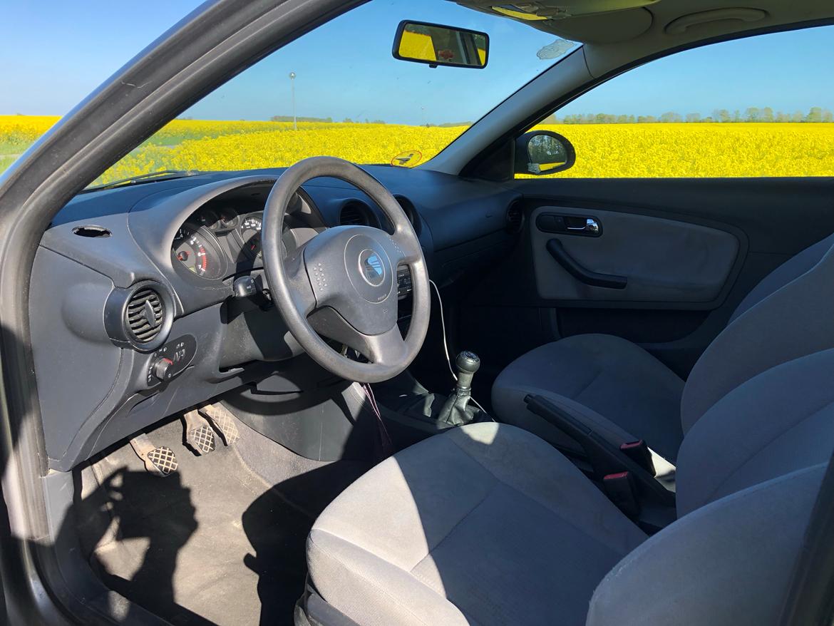 Seat Ibiza 6L billede 6