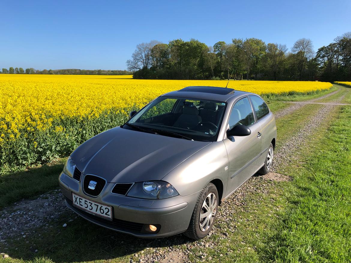 Seat Ibiza 6L billede 5