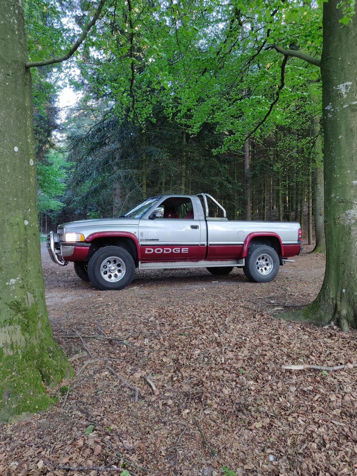 Dodge Ram 1500 Magnum  billede 7