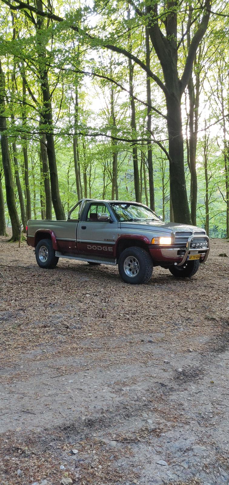 Dodge Ram 1500 Magnum  billede 6