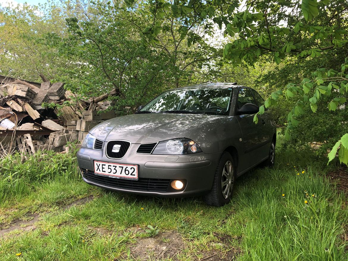 Seat Ibiza 6L billede 10