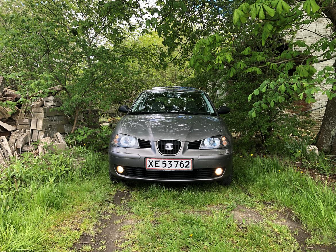 Seat Ibiza 6L billede 11