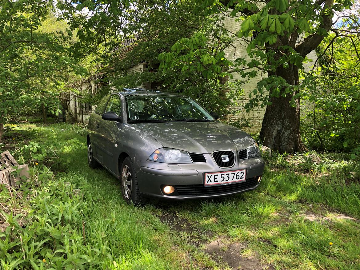 Seat Ibiza 6L billede 12