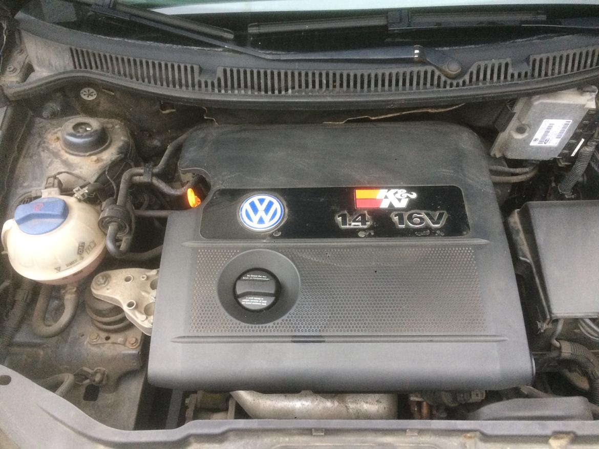 VW Polo 9n billede 4