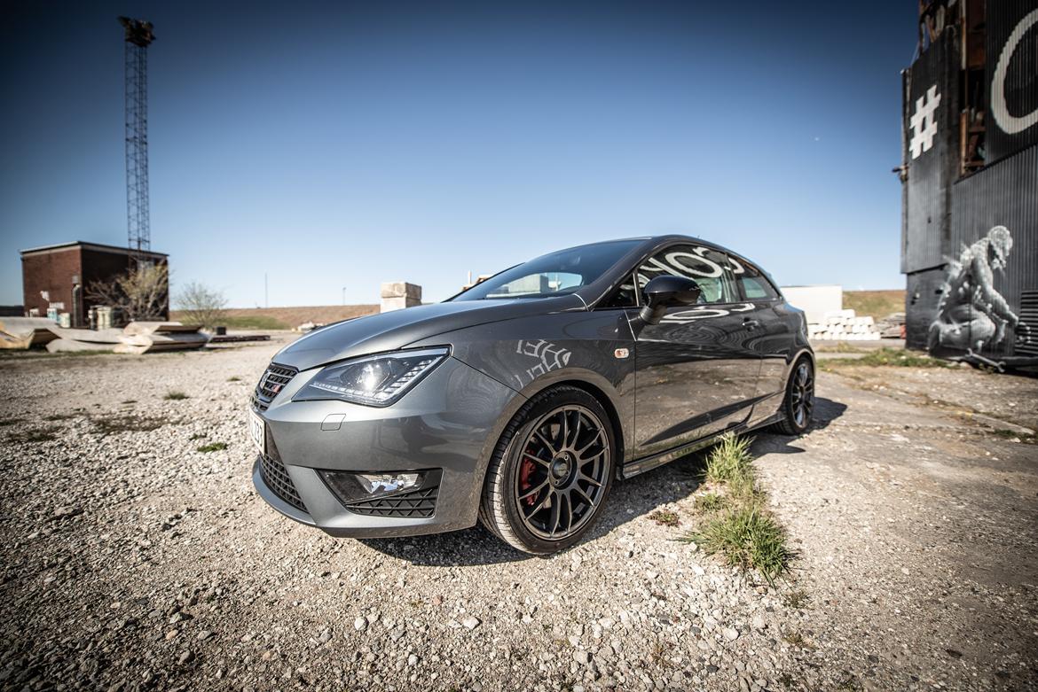 Seat Ibiza Cupra GP2 6P billede 15