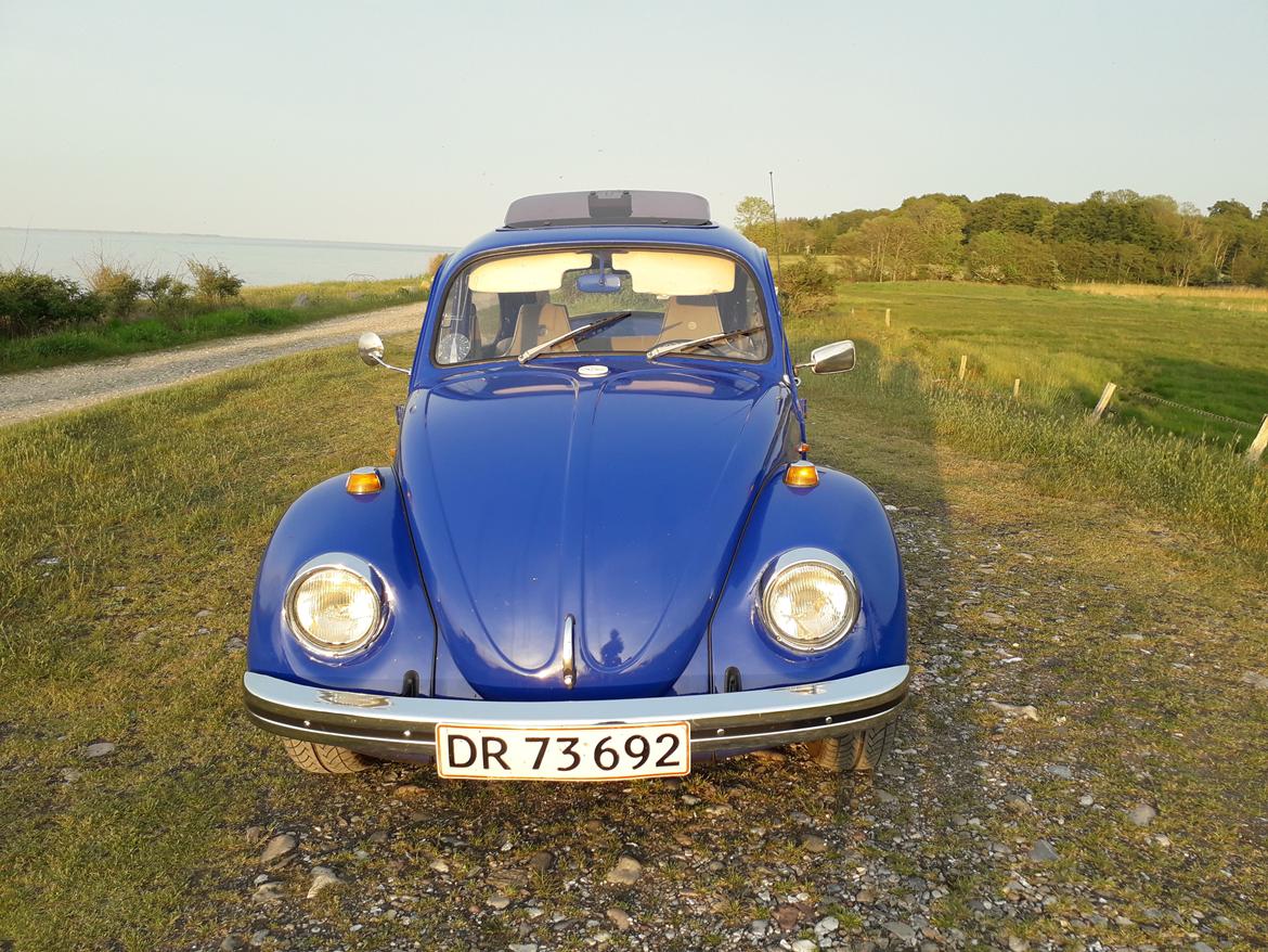 VW bobbel 1300/111 billede 11