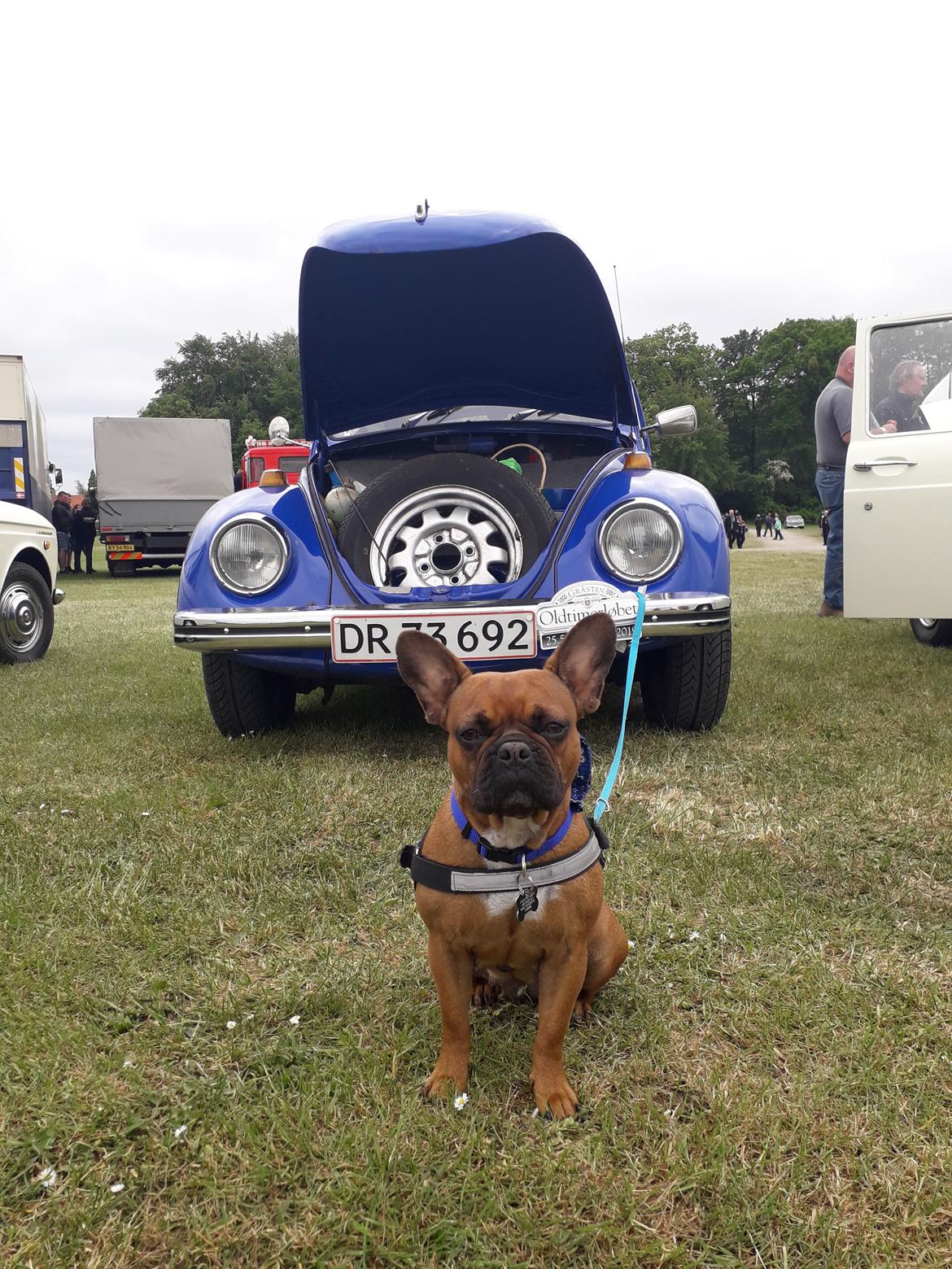 VW bobbel 1300/111 - Oldtimerløbet i Gråsten 2019 billede 17