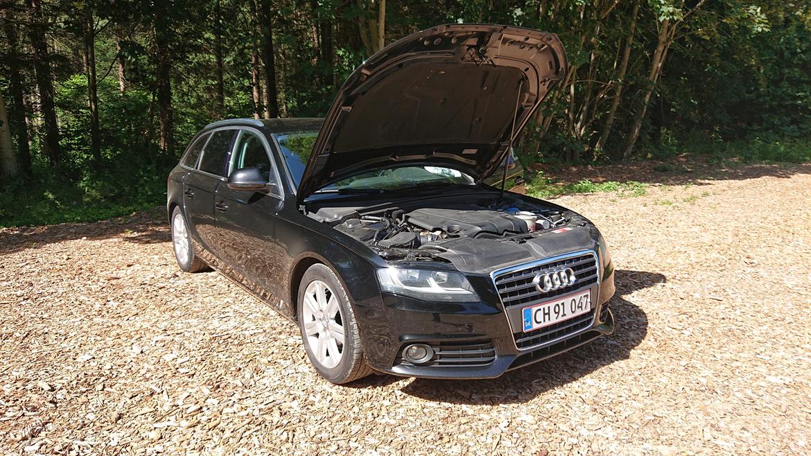 Audi A4b8 avant  billede 6