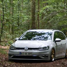VW Golf 7 variant