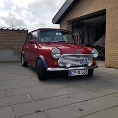 Rover Mini Mayfair (Marie)