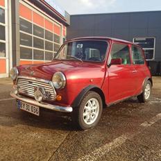 Rover Mini Mayfair (Marie)