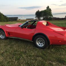 Chevrolet Corvette C3 Targa (SOLGT)