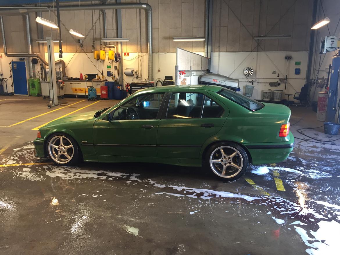 BMW E36 billede 6